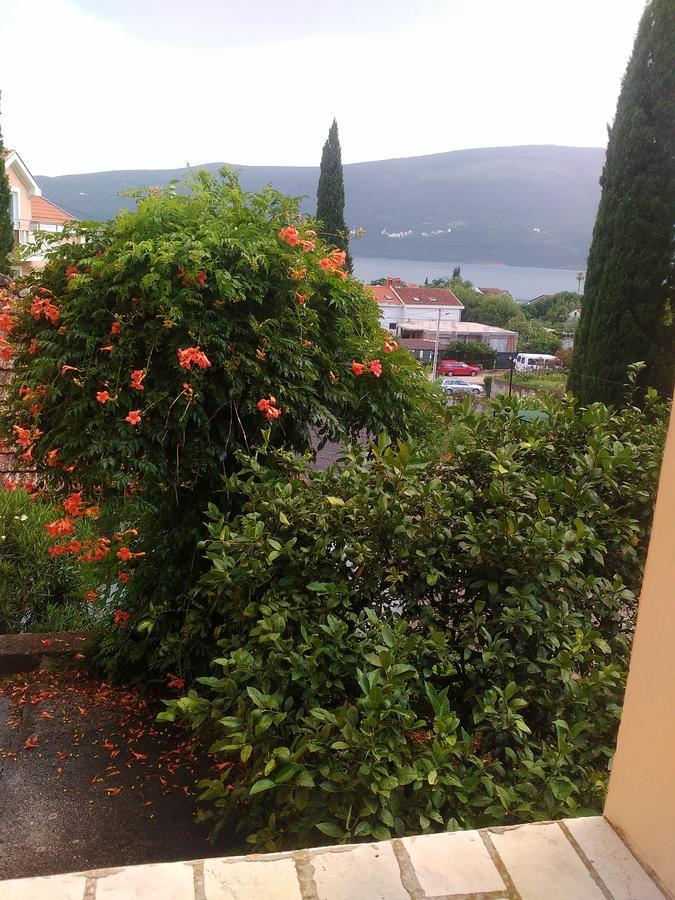 Hotel Sobe Baosici Marina à Herceg Novi Extérieur photo